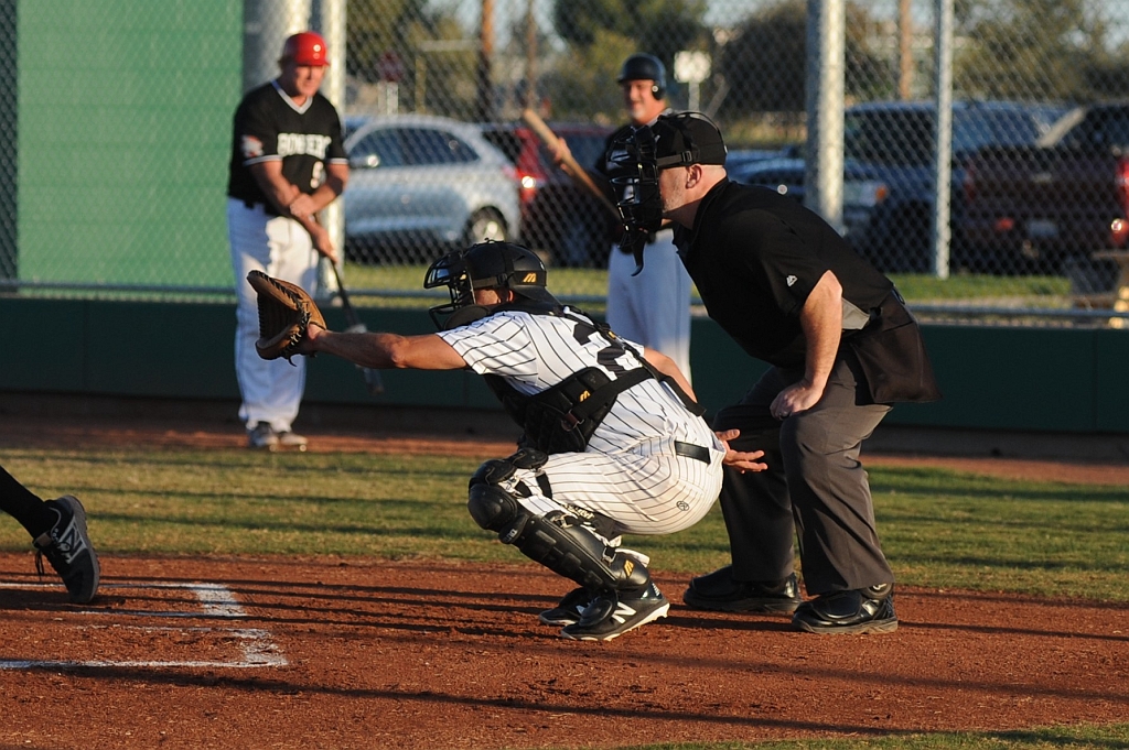 Seals_2019-09-19 (266).JPG - (c)2010 DeVetter